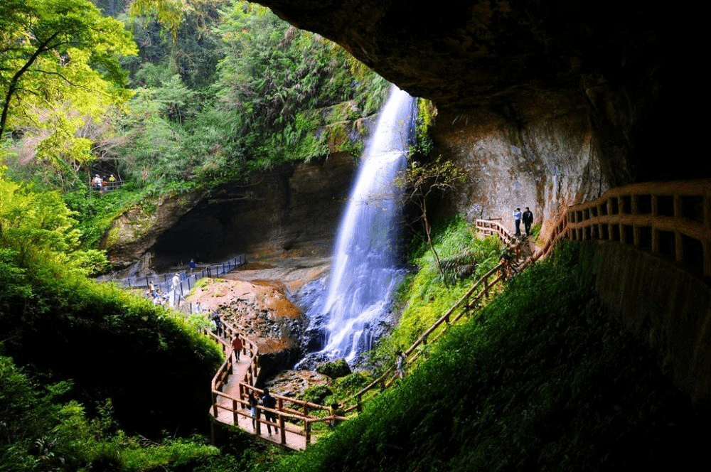 讓腳步慢下來,在杉林溪大飯店的高山森林裡過一晚真正降速的旅行