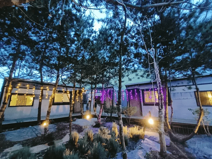 約好一起出發南投,住進包棟民宿的那一晚,行程自然放慢只剩相聚