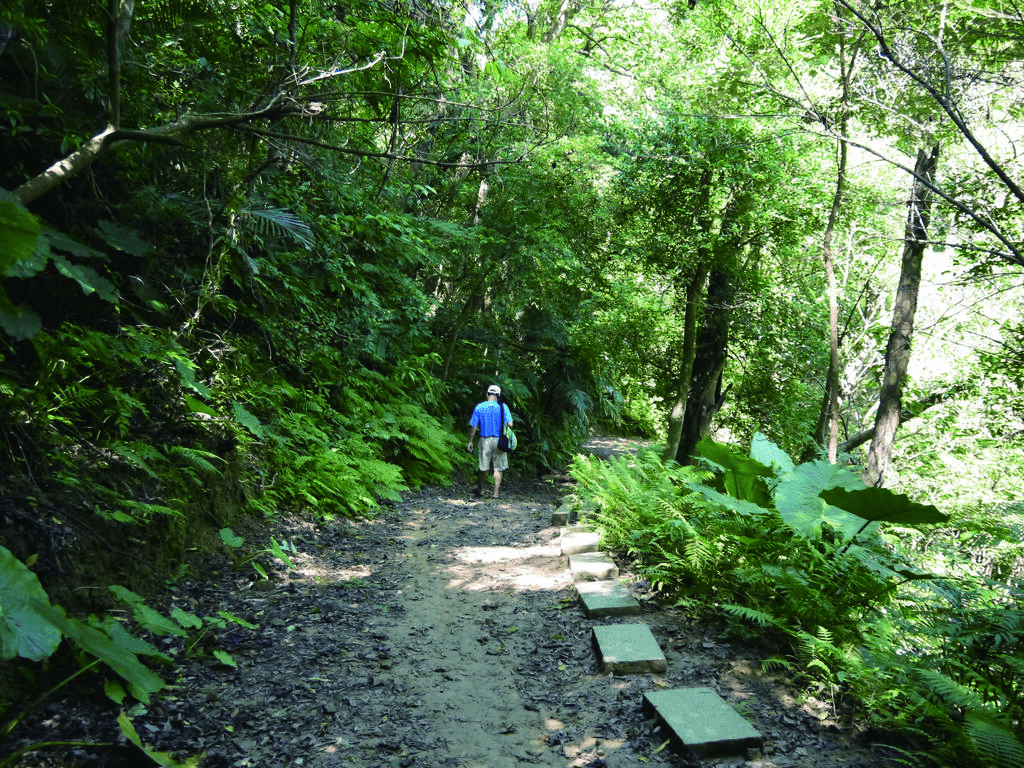 在新北三峽走上鳶山登山步道，十分鐘站上岩稜高處，把城市與河谷一起收入視線裡