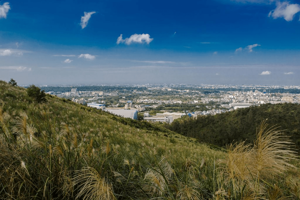 跟著在地人走進桃園步道，把傍晚、霧氣與城市邊緣交給雙腳慢慢展開