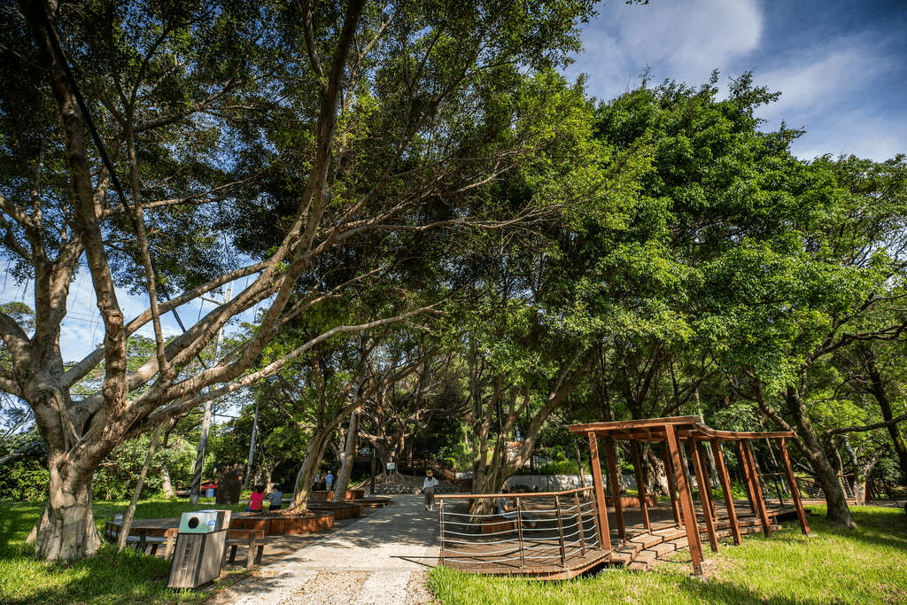 跟著在地人走進桃園步道，把傍晚、霧氣與城市邊緣交給雙腳慢慢展開