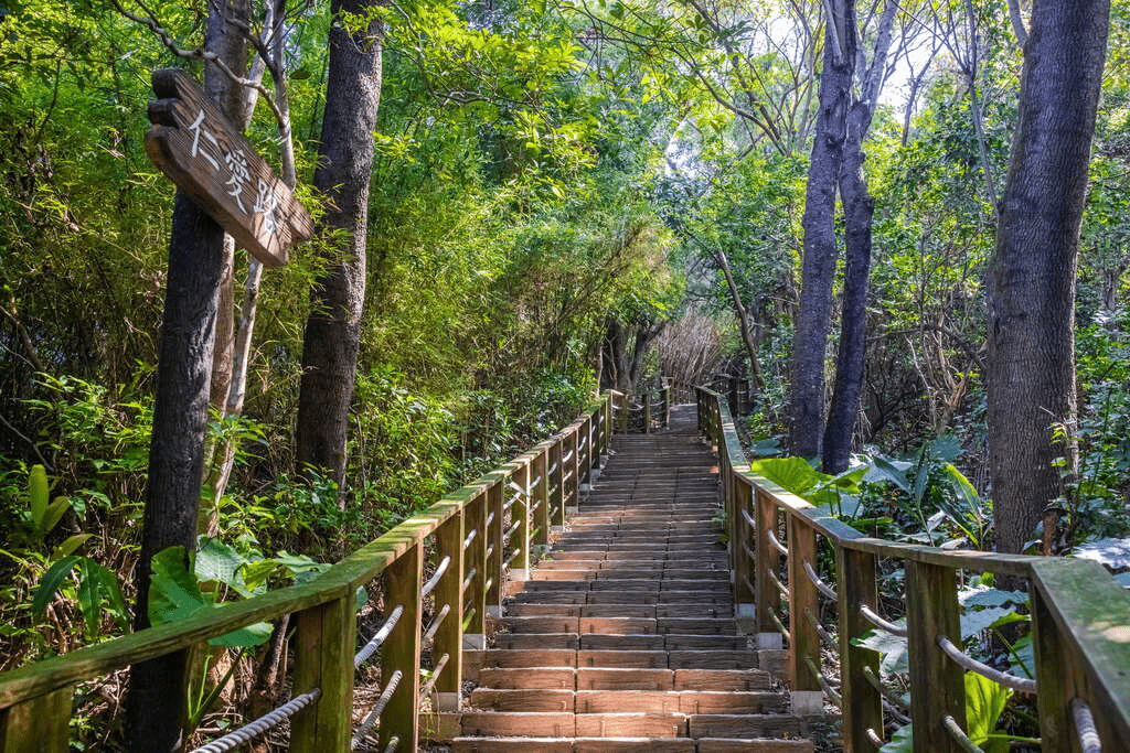 跟著在地人走進桃園步道，把傍晚、霧氣與城市邊緣交給雙腳慢慢展開