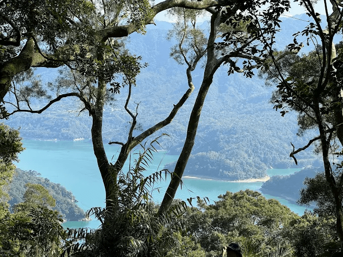 跟著在地人走進桃園步道，把傍晚、霧氣與城市邊緣交給雙腳慢慢展開