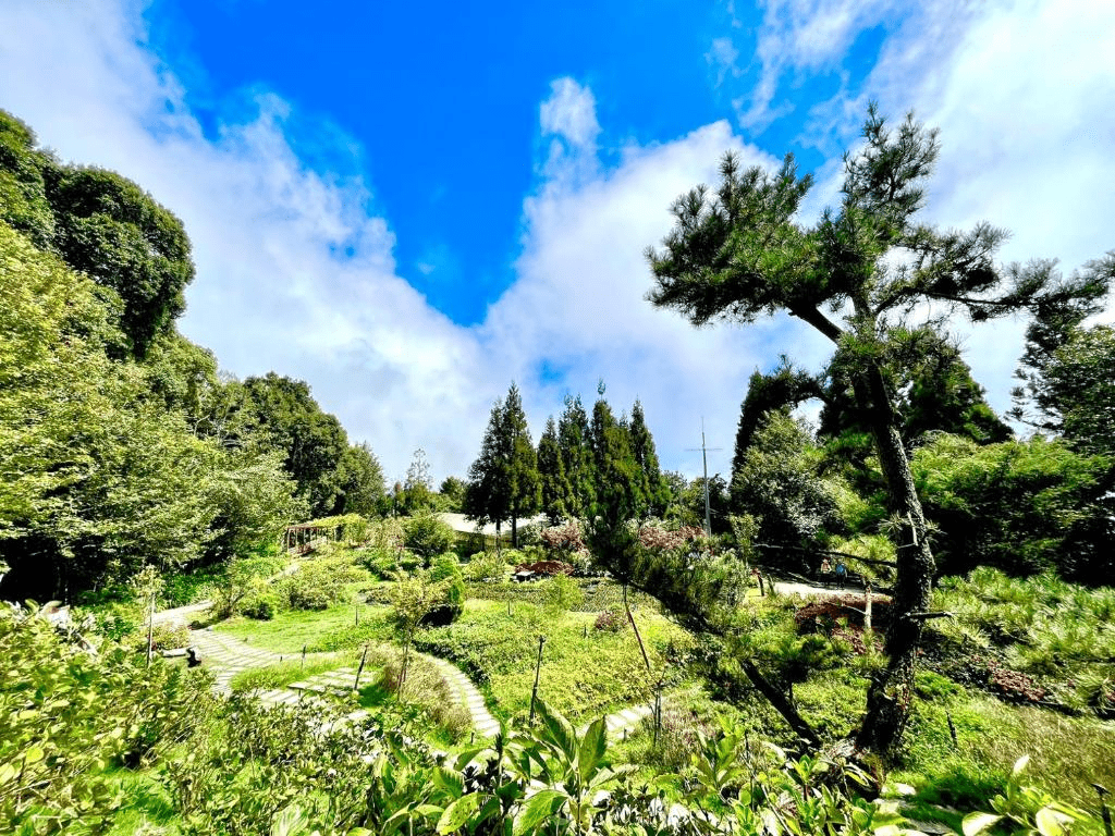 當雲霧在清晨翻湧，新竹五峰的雪霸農場成了旅人暫時離開城市的高山落腳處