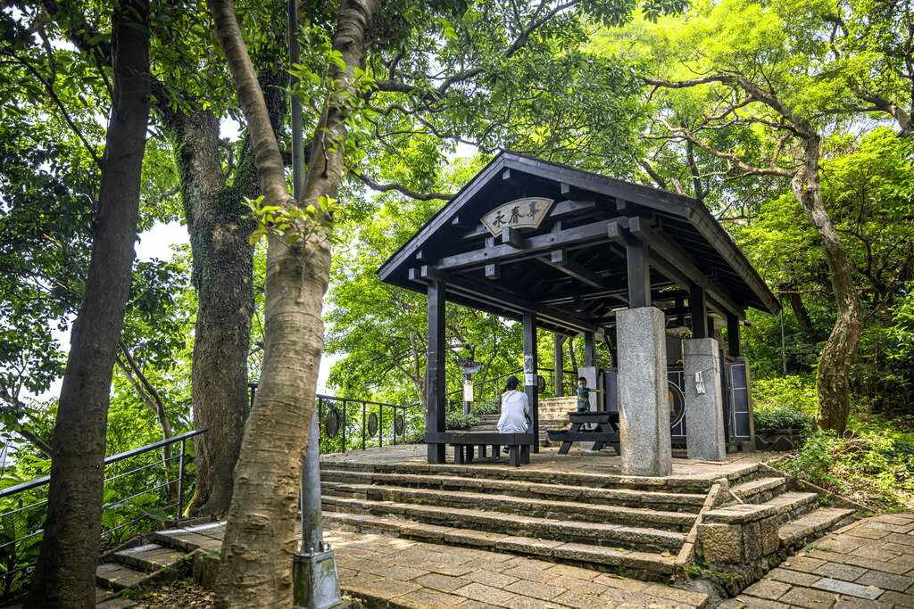 象山步道沿途的石階與茂密綠色植物，展現出都市中的森林景觀