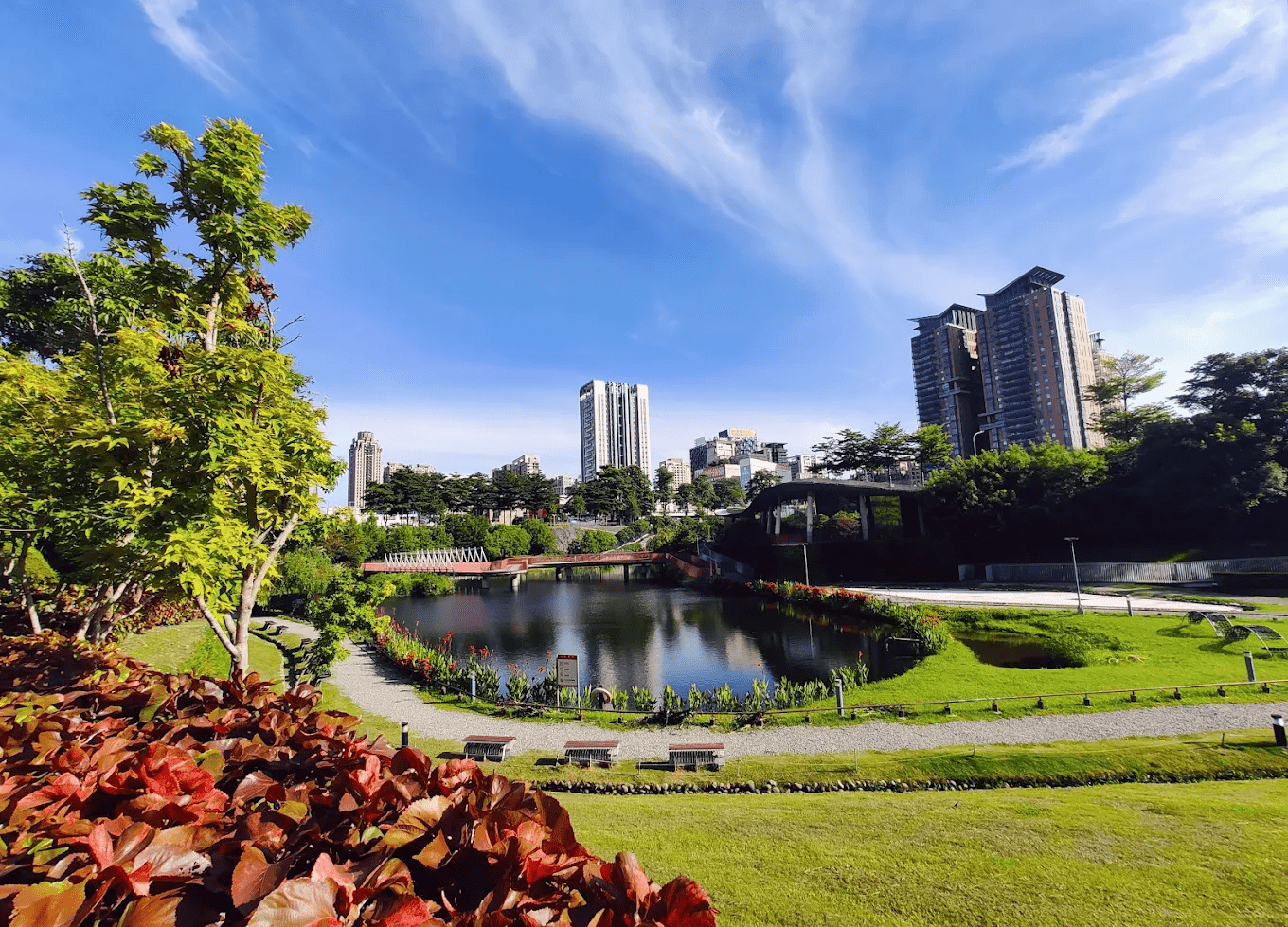 秋紅谷景觀生態公園｜藏在台中市中心的下沉式綠洲，散步拍照都剛剛好