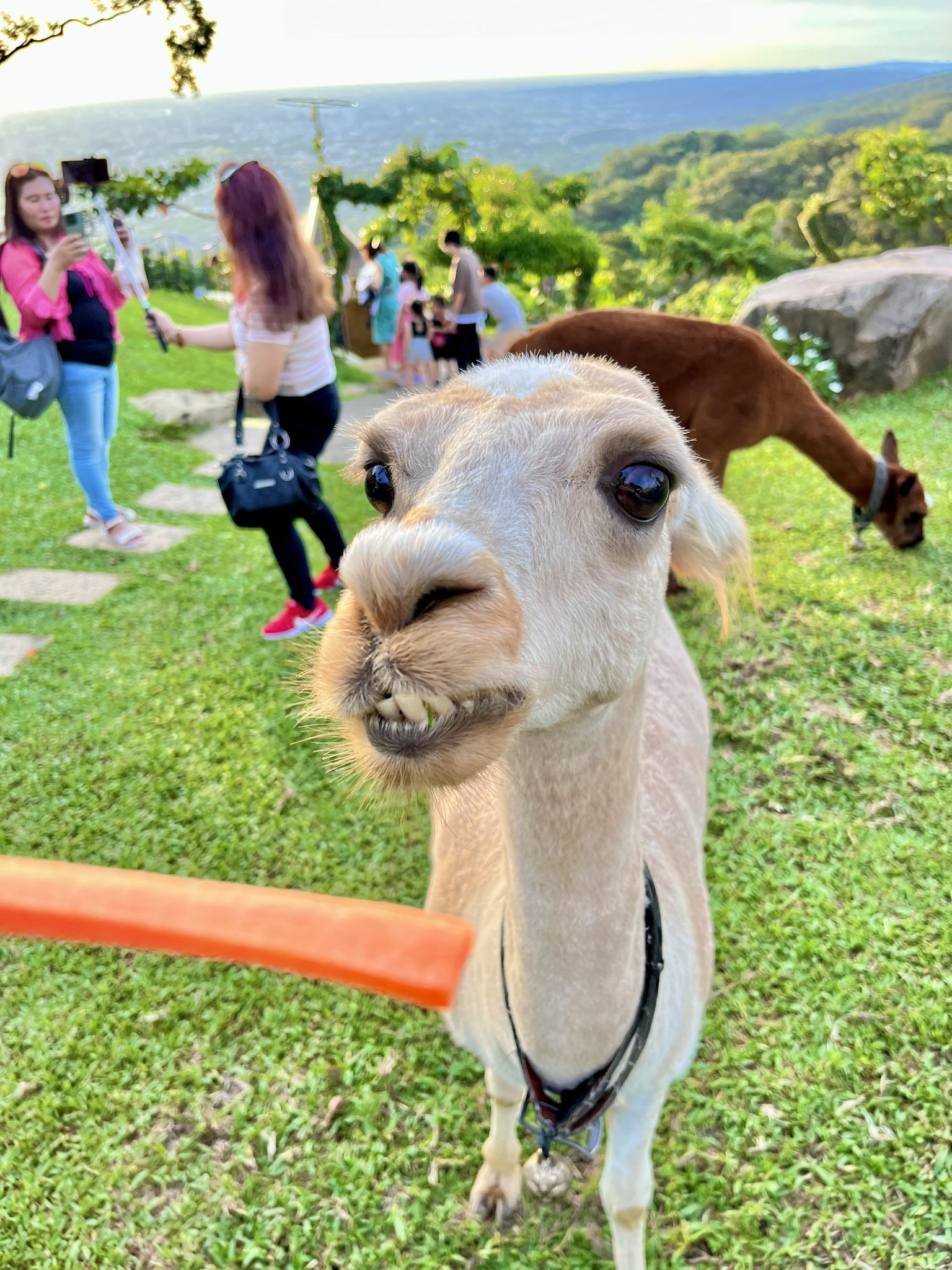 星月天空景觀餐廳