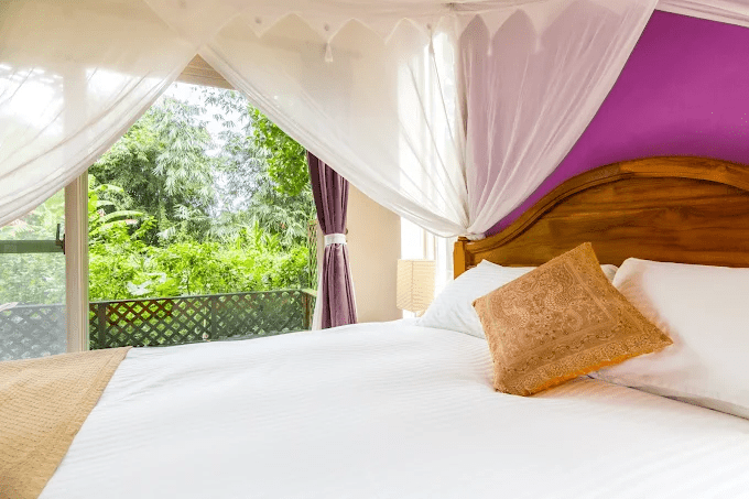 沿著太平洋醒來的早晨，走進花蓮民宿的海景與田野慢活時光