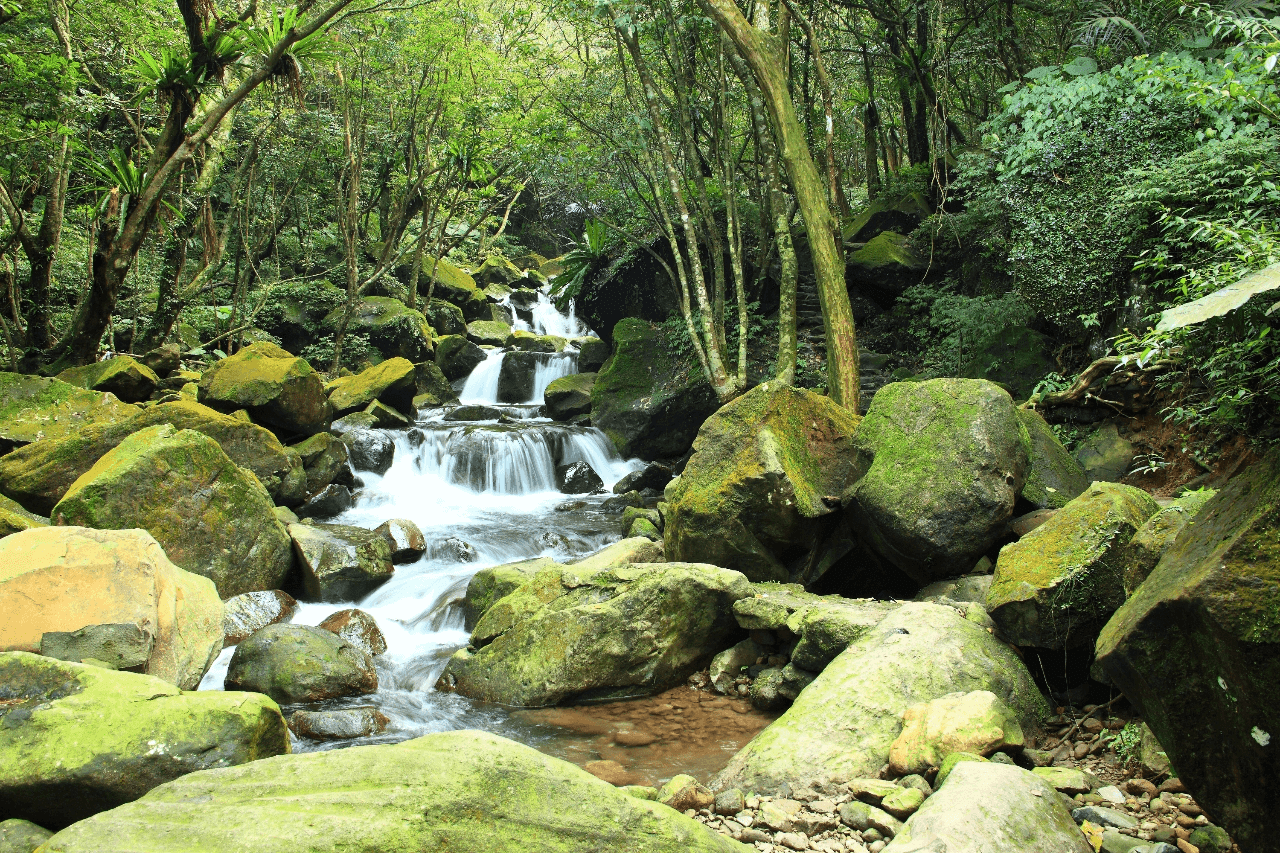 週末開車往北海岸出發，在浪聲與光線之間收集七個看海景點的片刻安靜