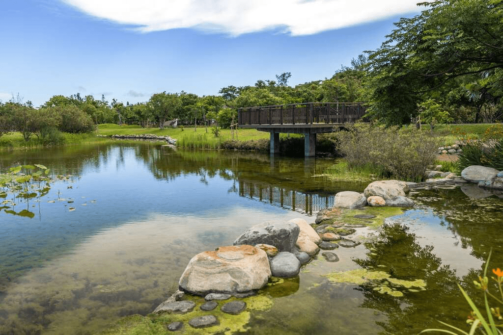 沿著湖畔慢慢走進 臺東森林公園，在草地與水色之間，找回一整個午後的呼吸節奏