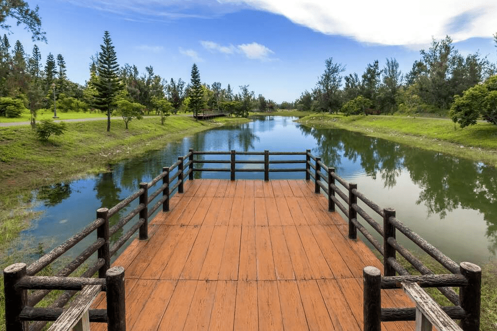 沿著湖畔慢慢走進 臺東森林公園，在草地與水色之間，找回一整個午後的呼吸節奏