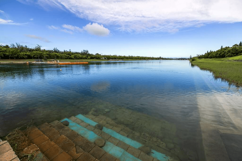 沿著湖畔慢慢走進 臺東森林公園，在草地與水色之間，找回一整個午後的呼吸節奏