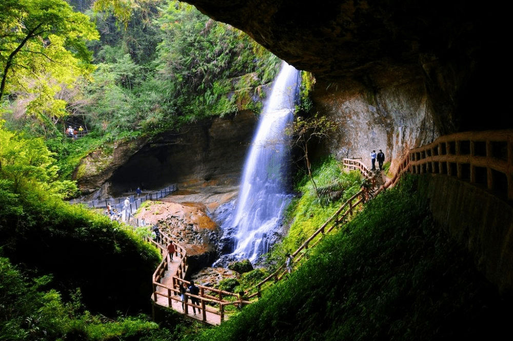 住在南投杉林溪森林生態渡假園區大飯店，用一晚時間感受高山森林的清晨、霧氣與靜靜流動