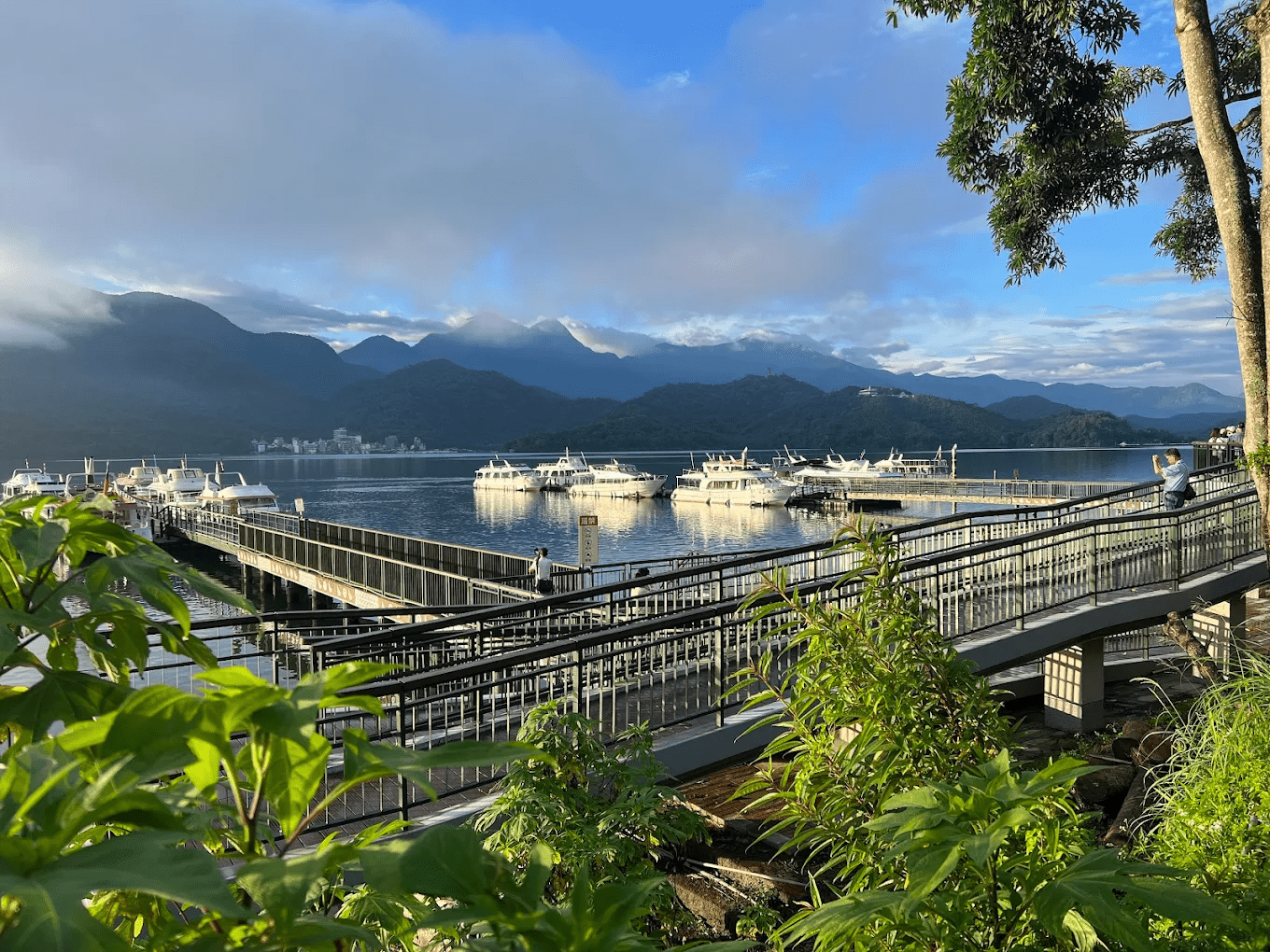 霧起的那一刻，我在朝霧碼頭遇見最安靜的日月潭