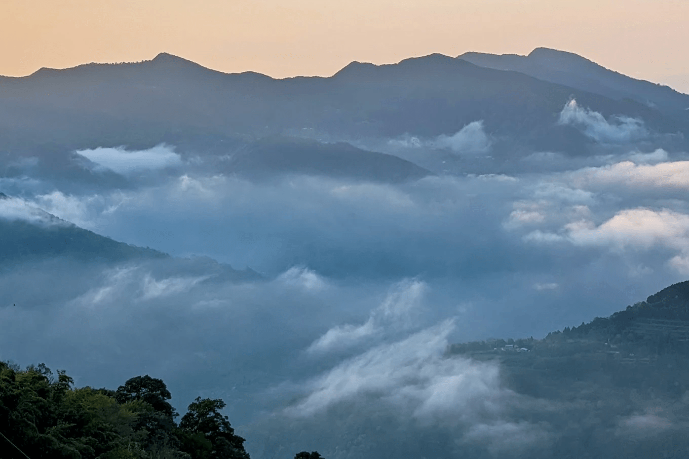 🌲 觀霧國家森林遊樂區｜走進雲霧森林的療癒秘境，一場與巨木同行的深呼吸之旅