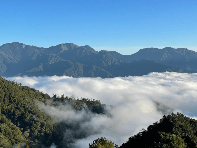 🌲 大雪山國家森林遊樂區｜站上雲海之上的森林國度，一趟走進高山靜謐的療癒之旅