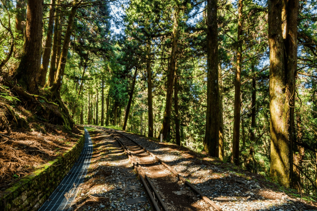 奮起湖風景與鐵道