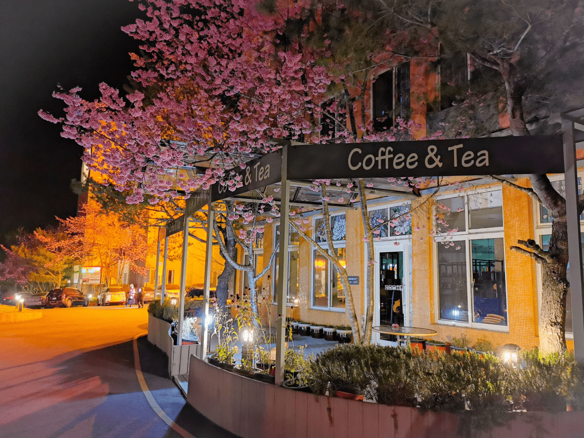 當清晨霧氣漫進窗邊，杉林溪森林生態渡假園區大飯店讓山林假期自然開始