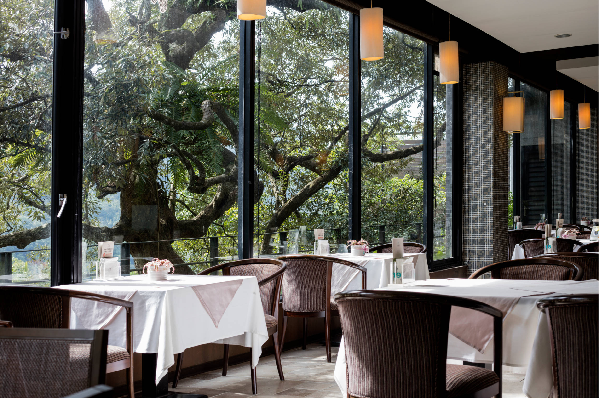 離開城市一段距離，在大板根森林遊樂區，用森林的節奏找回生活的呼吸