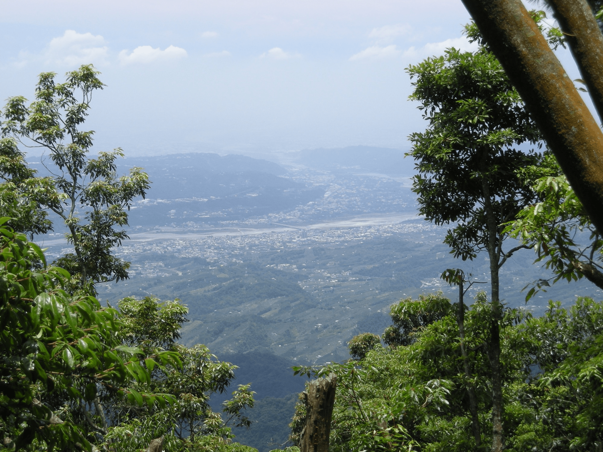 當空氣變得清冷透明,沿著橫嶺山步道走進大雪山木馬古道的森林