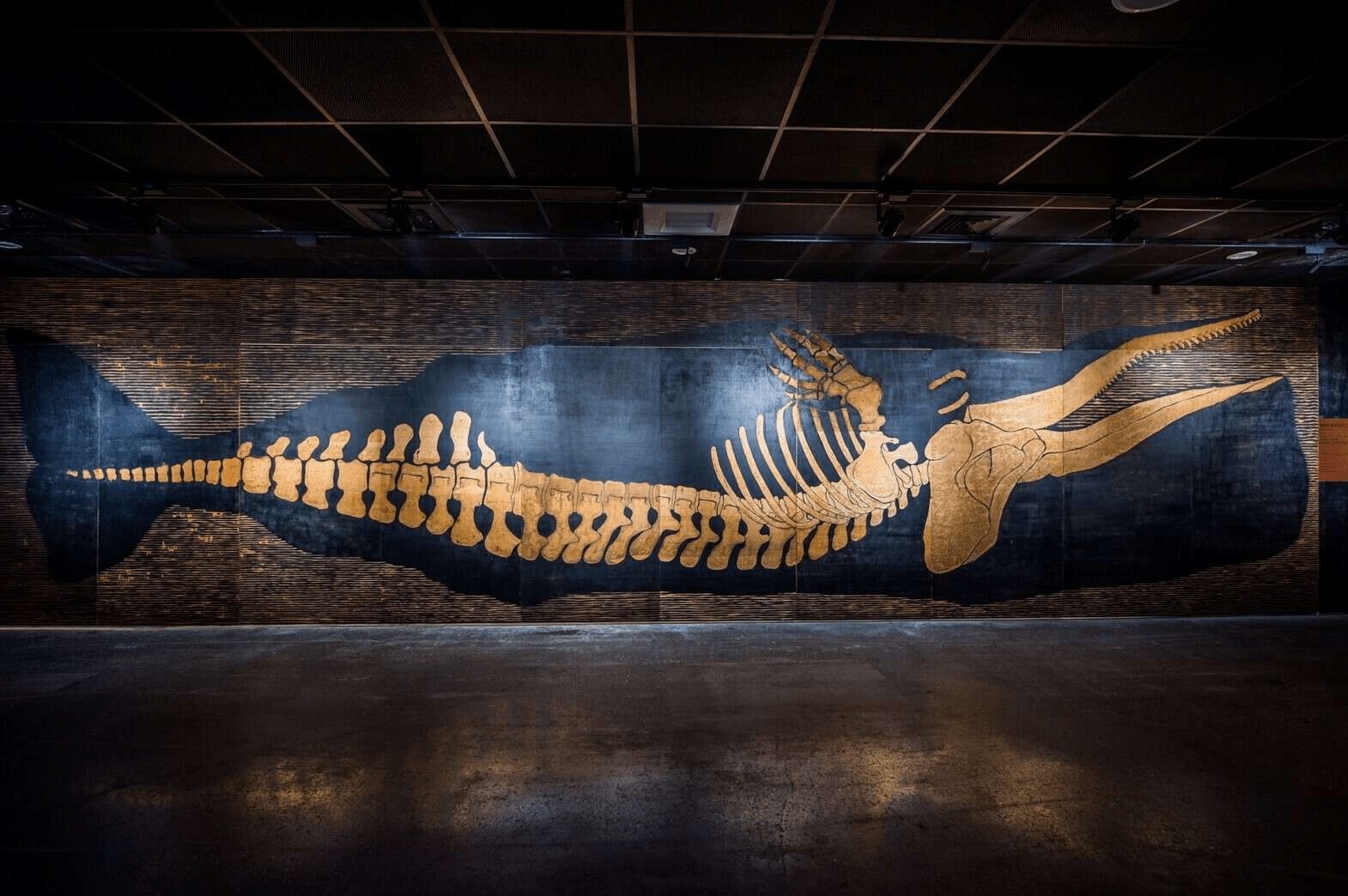 從城市轉入臺南左鎮,在化石園區與史前生命相遇的那個瞬間