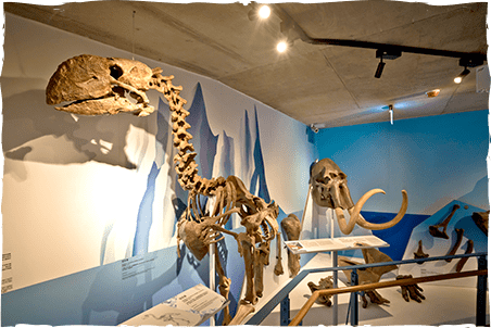 從城市轉入臺南左鎮,在化石園區與史前生命相遇的那個瞬間