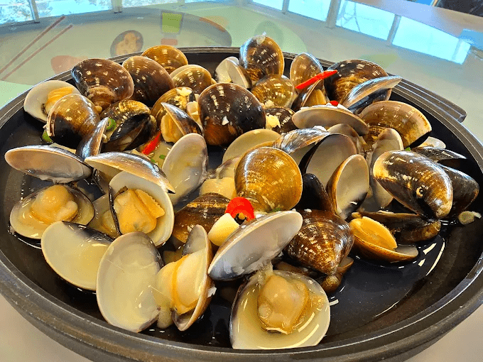 沿著平原與海風慢慢走，展開一趟雲林二日遊，把老街與日常風景收進旅程裡