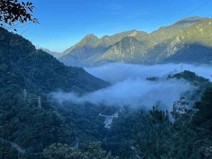 沿著松針鋪成的森林緩步前行,在台中馬崙山登山步道走完一整天