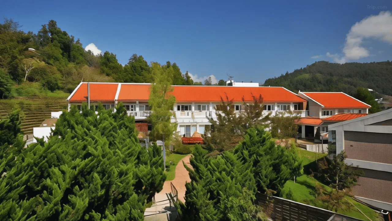 入冬後往清境與武陵走去，住進國民賓館，把行程留給高山的安靜