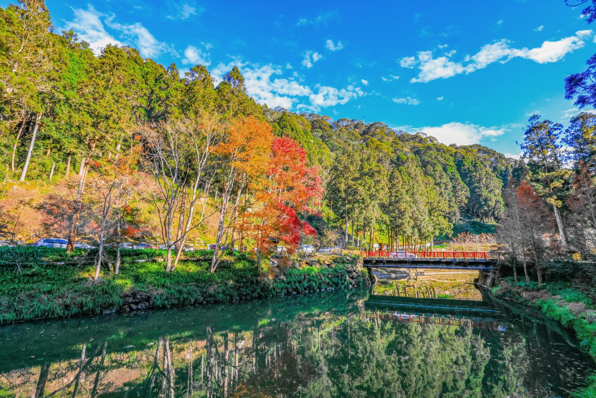 走進南投杉林溪主題會館，讓夜晚與清晨都留在山林與霧氣之間