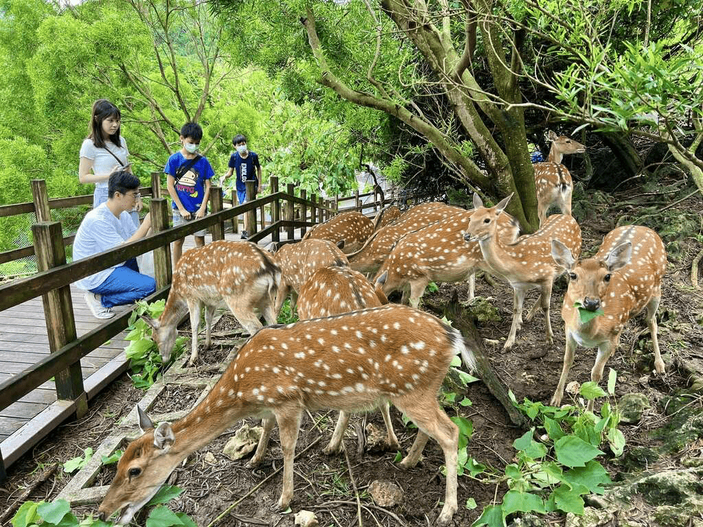 在城市與山林之間慢慢走，走進壽山動物園，重新感受陪伴與觀察的節奏