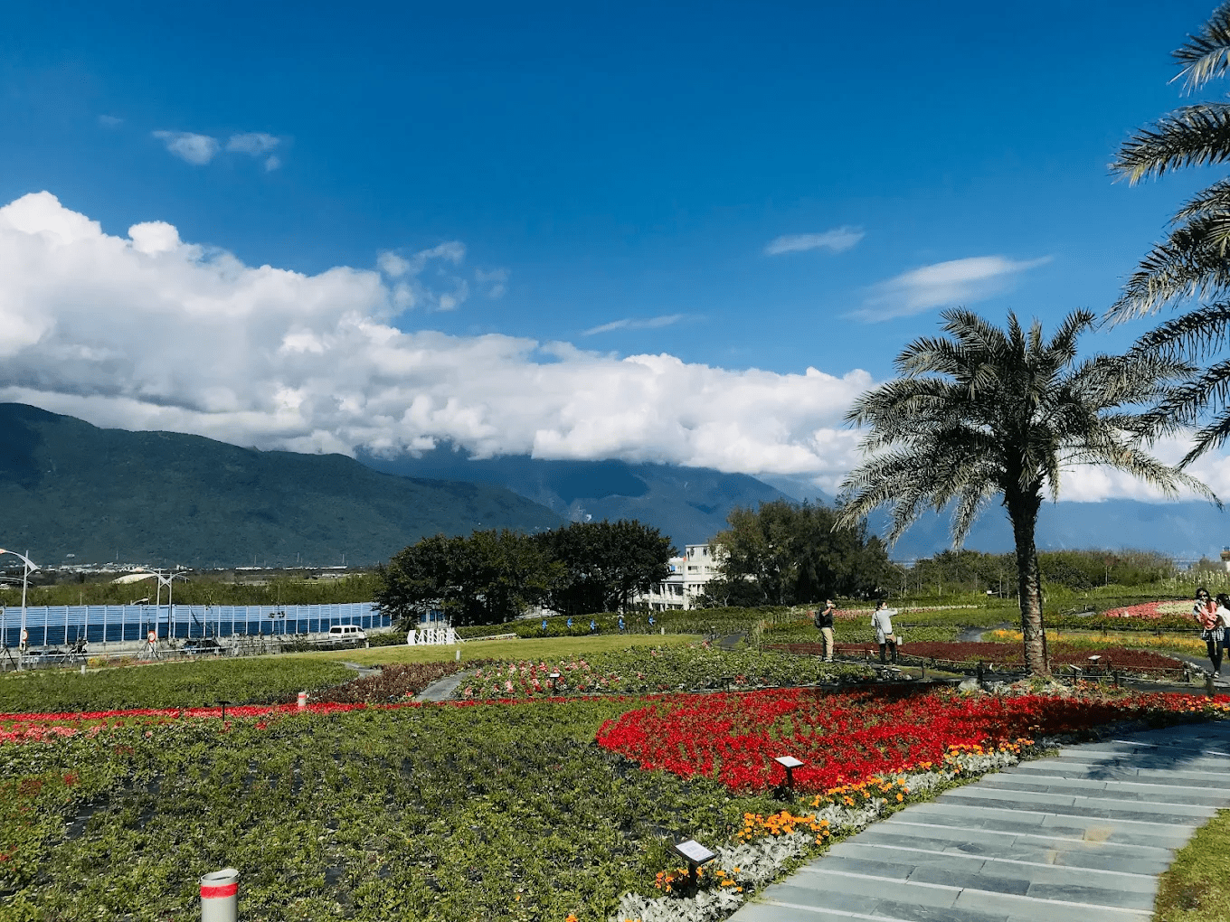 曼波海洋生態休閒園區｜走進花蓮海岸線，讓海風與浪聲陪你慢下來