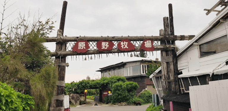 原野牧場｜在七星潭海風中，吃一支最貼近土地的鮮奶冰淇淋