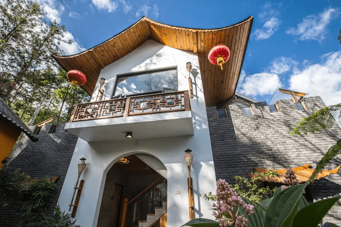 沿著山路住進杉林溪住宿，在冬季森林與清晨霧氣中展開旅行