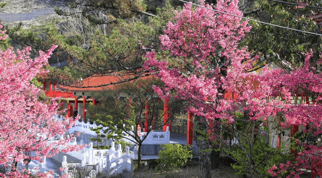 在雲海與山色之上慢慢住一晚，在梨山賓館，把高山雲霧的時間留給旅人