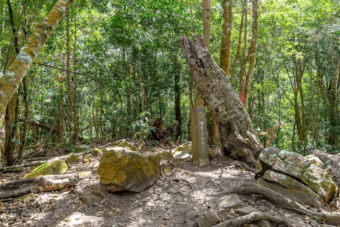一步一步爬上白毛山瘦稜，在谷關七雄的高度裡迎接大甲溪的開闊視野