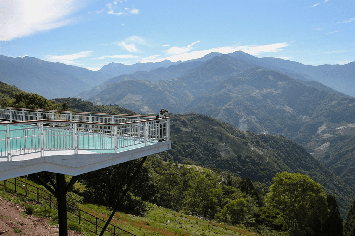 清晨走進清境農場的青青草原,在雲霧與羊群之間慢慢展開高空步道的山景時光