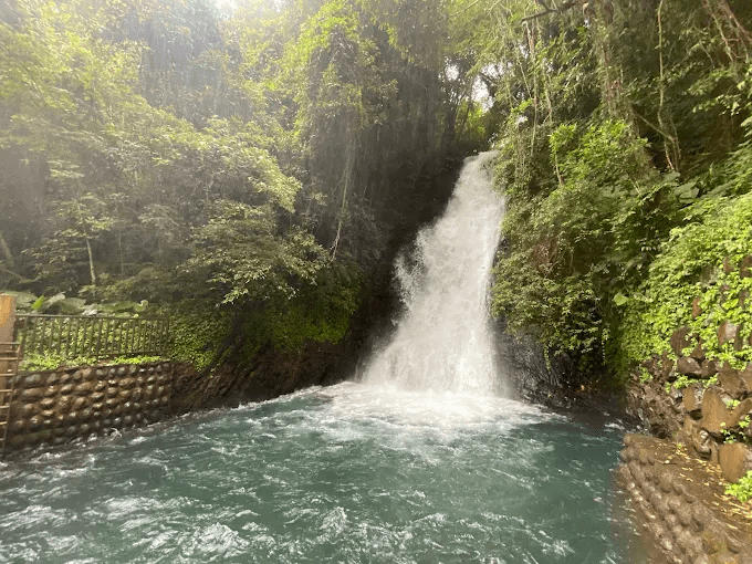 沿著山霧與湖光慢慢走進南投，把一天交給森林與湖泊交織的自然風景線