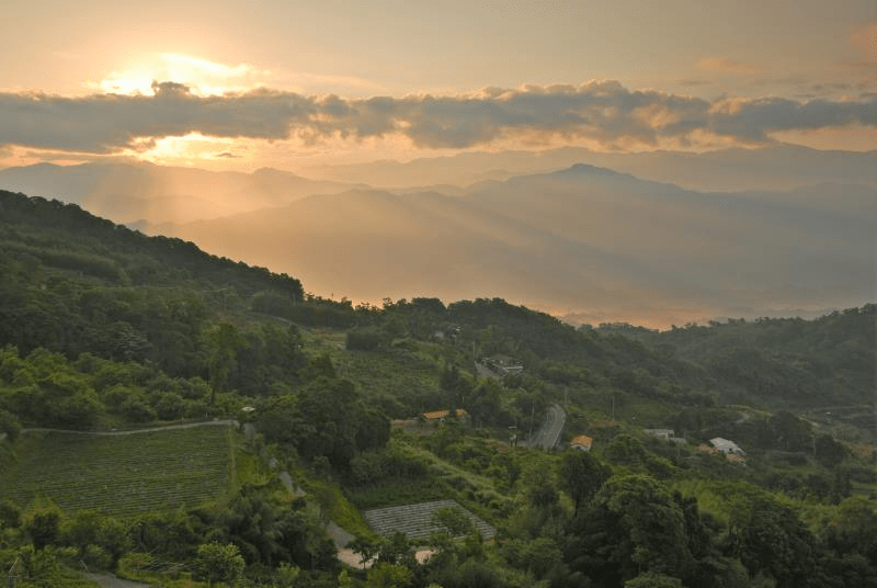 薑麻園晨曦時分的雲海美景，陽光穿透雲層灑落在山巒間