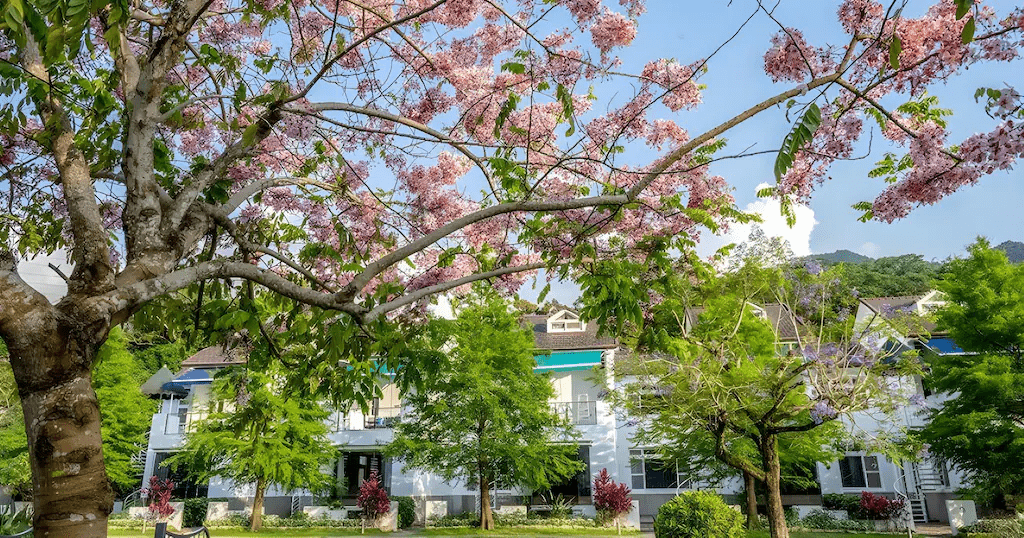 夜色降臨苗栗山城，住進適合多人住宿的空間，讓相聚不被打擾