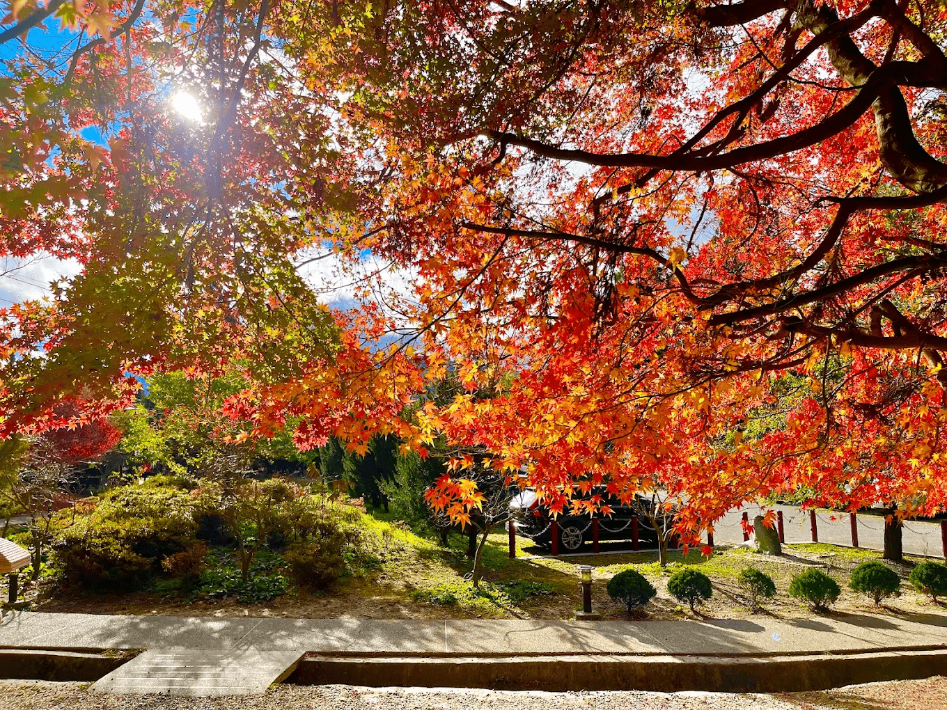 福壽山農場松廬(賞楓)