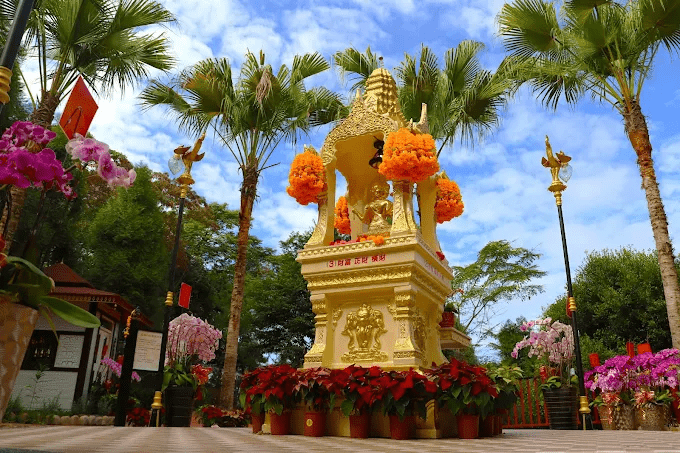 夜色落在南洋屋頂的時候，我在雲林古坑桂林映象會館坐著看山吃飯