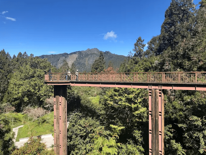 當霧氣漫過山稜，我在阿里山賓館的觀景平台靜靜看天色變化