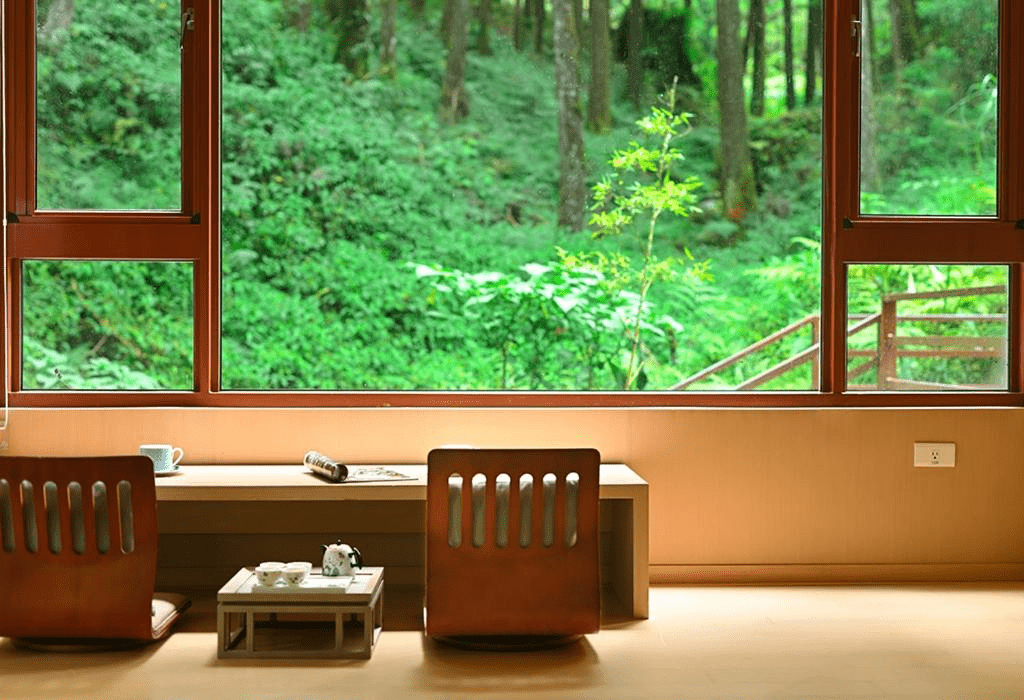 不趕日出也不急下山，在阿里山挑一間能陪你看完雲海的住宿