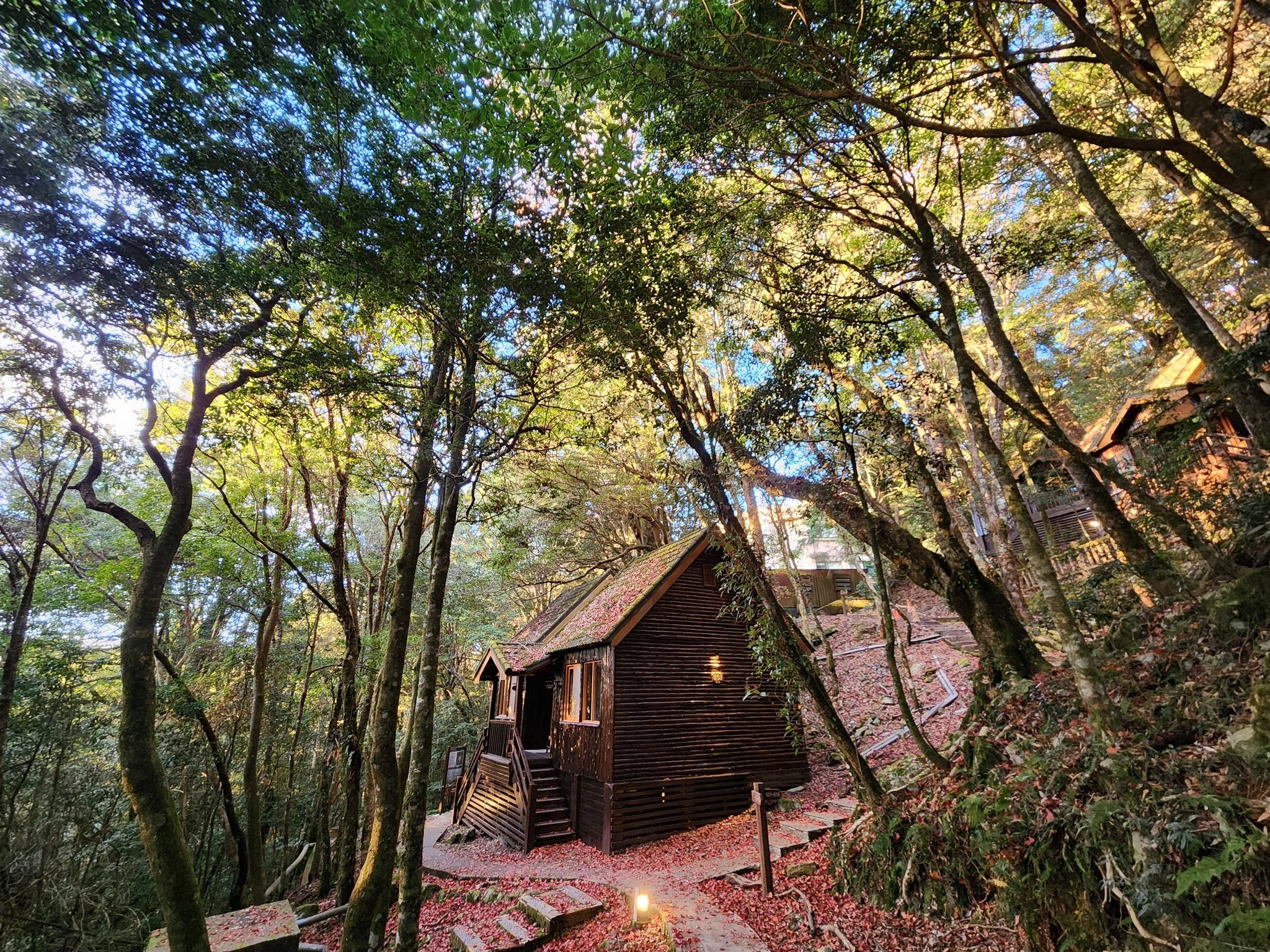 走進雲霧與森林的深處，在大雪山放慢腳步，找回被城市帶走的安靜時光
