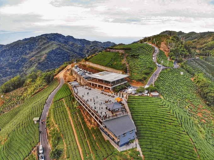 當雲海越過山頭，我在嘉義梅山鄉走過茶園步道與山城日常的味道