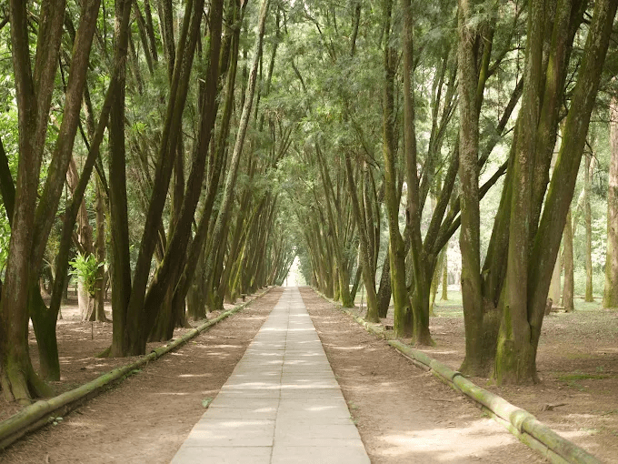 南投竹山輕旅行提案，在景點之間，把山城風景與行走的節奏走完