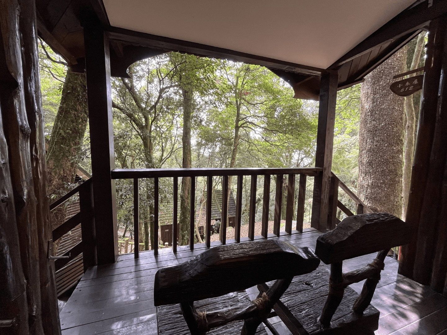 把行程慢下來，把夜晚留給森林，為想深呼吸的人整理的大雪山住宿清單