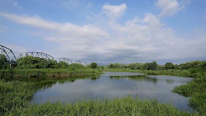 從舊鐵橋出發探索高雄大樹景點，在濕地風景與佛光山之間放慢腳步