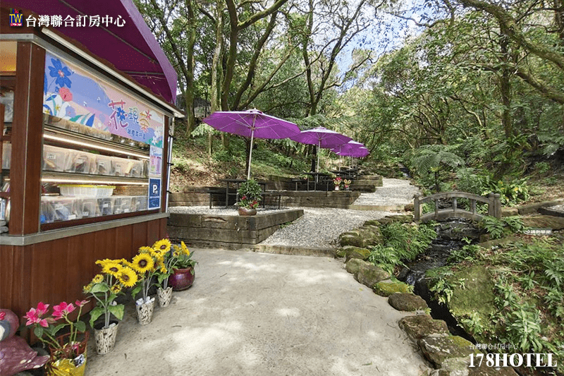 舒適的床鋪與採光